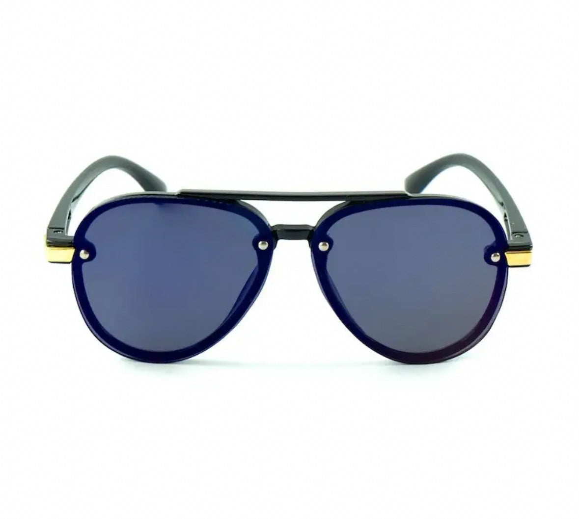 Navigator Sunglasses