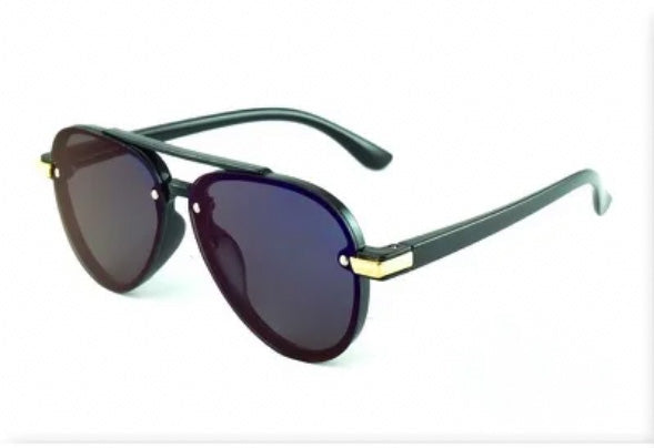 Navigator Sunglasses